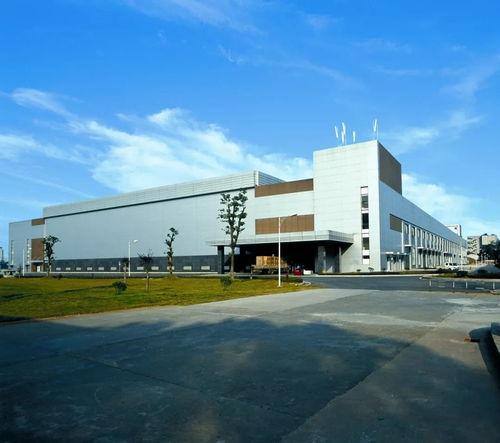 改革开放40年 我们与共和国同成长——重庆礼仪的变迁与传承